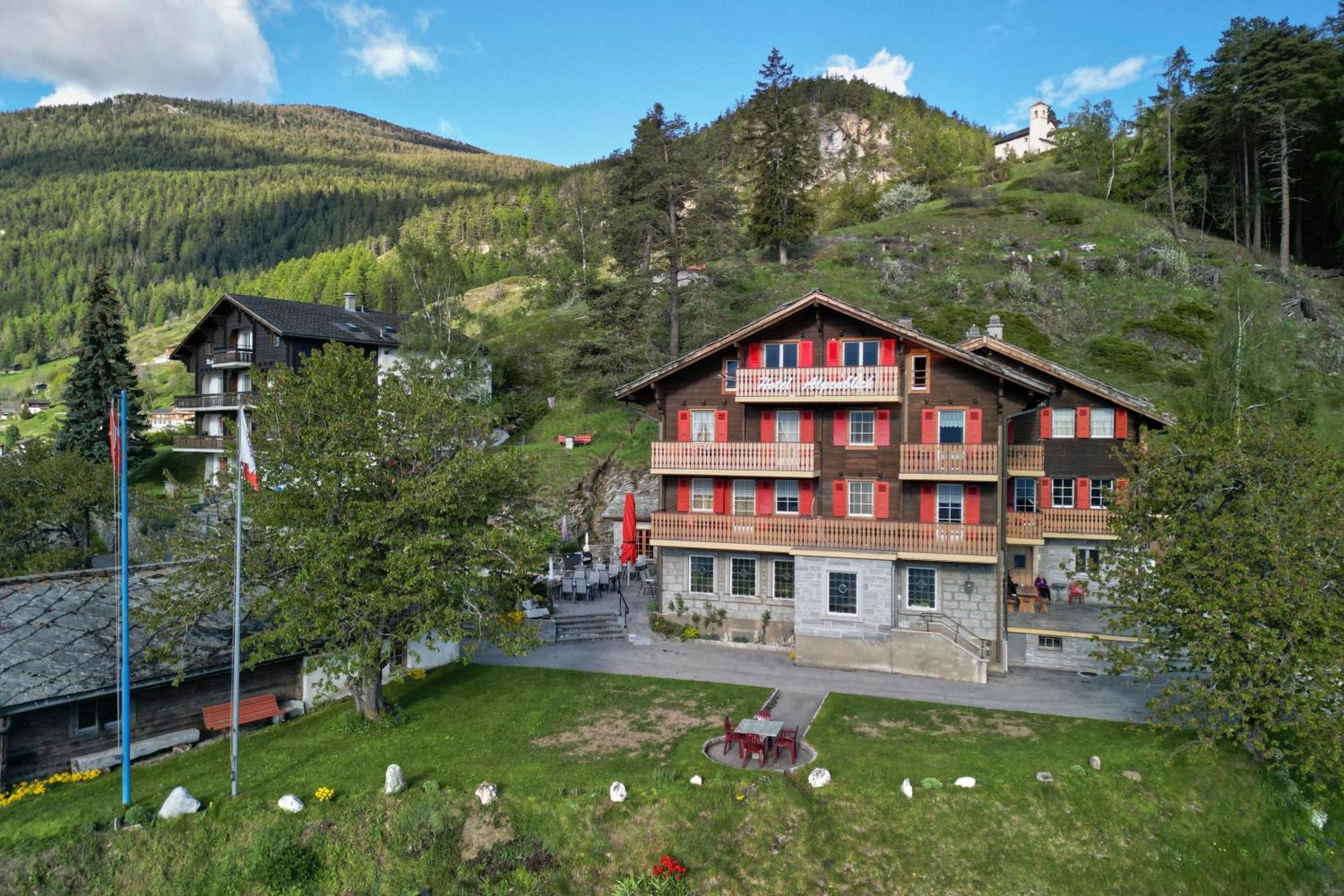 Hotel Alpenblick زينغن المظهر الخارجي الصورة