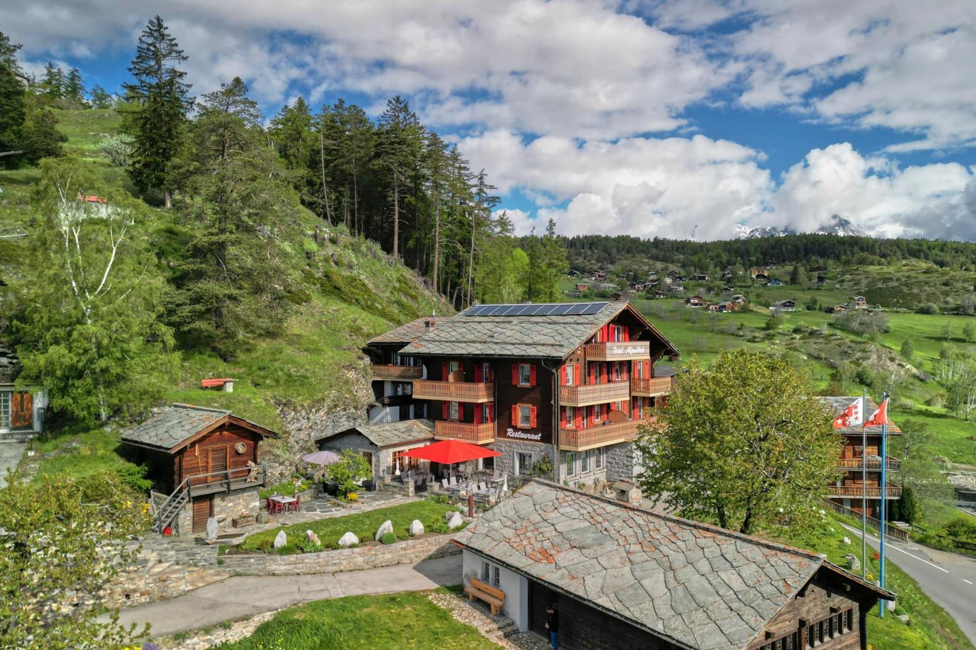 Hotel Alpenblick زينغن المظهر الخارجي الصورة