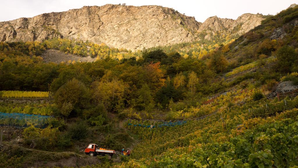 Hotel Alpenblick زينغن المظهر الخارجي الصورة