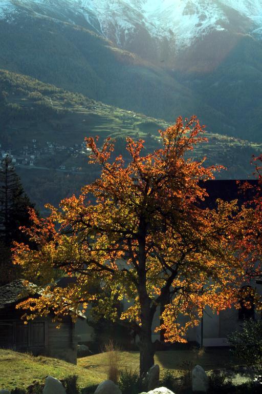 Hotel Alpenblick زينغن المظهر الخارجي الصورة