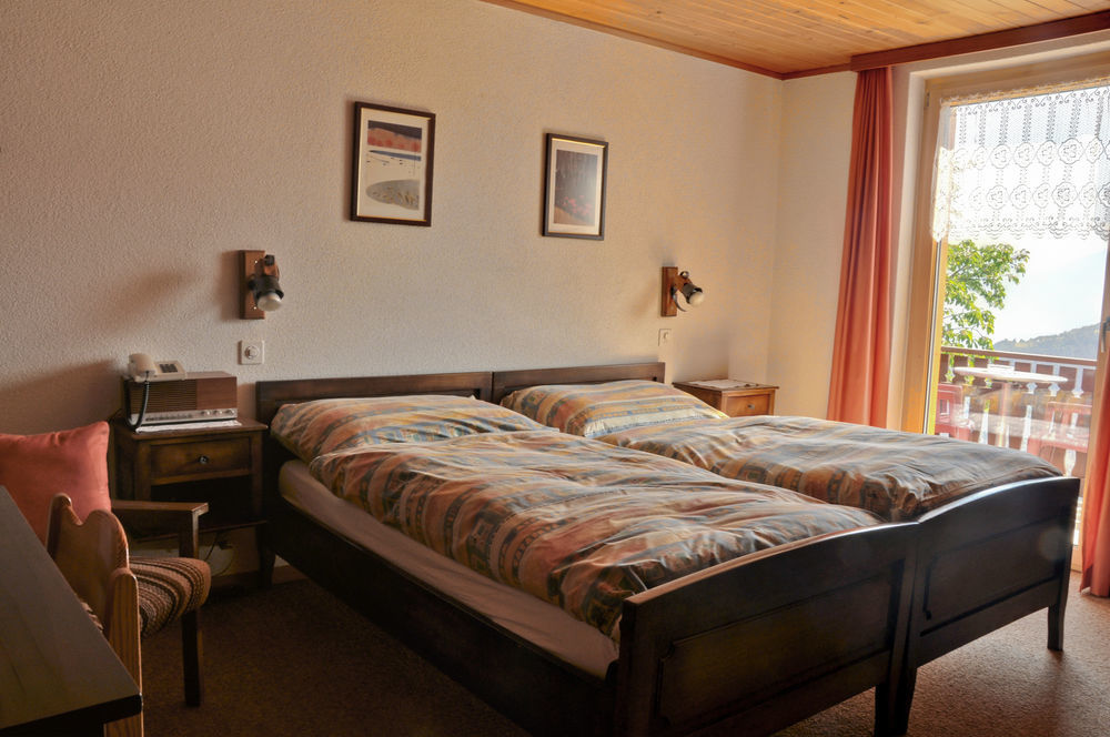 Hotel Alpenblick زينغن المظهر الخارجي الصورة