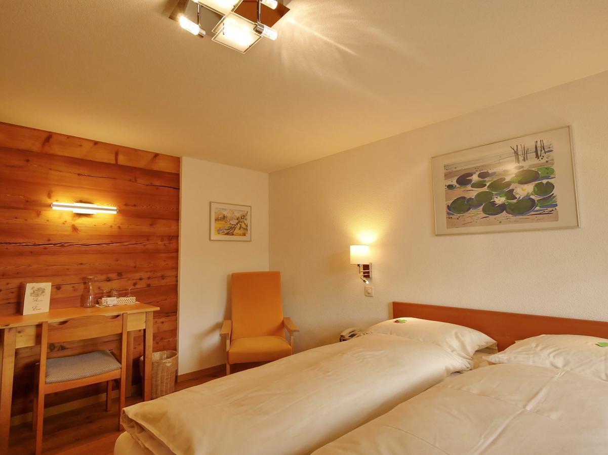 Hotel Alpenblick زينغن المظهر الخارجي الصورة