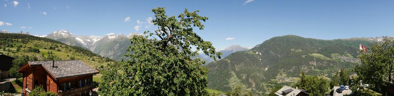 Hotel Alpenblick زينغن المظهر الخارجي الصورة