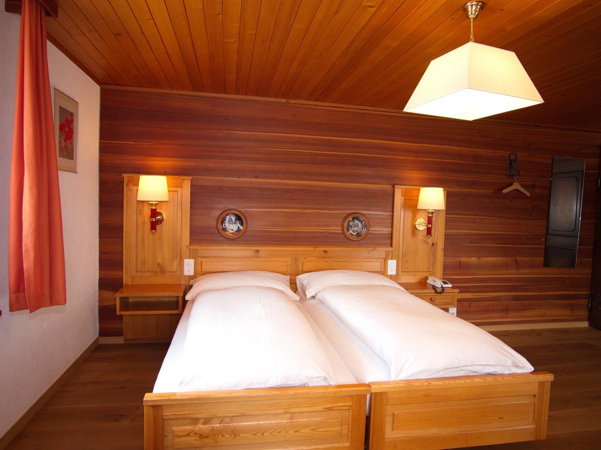 Hotel Alpenblick زينغن المظهر الخارجي الصورة