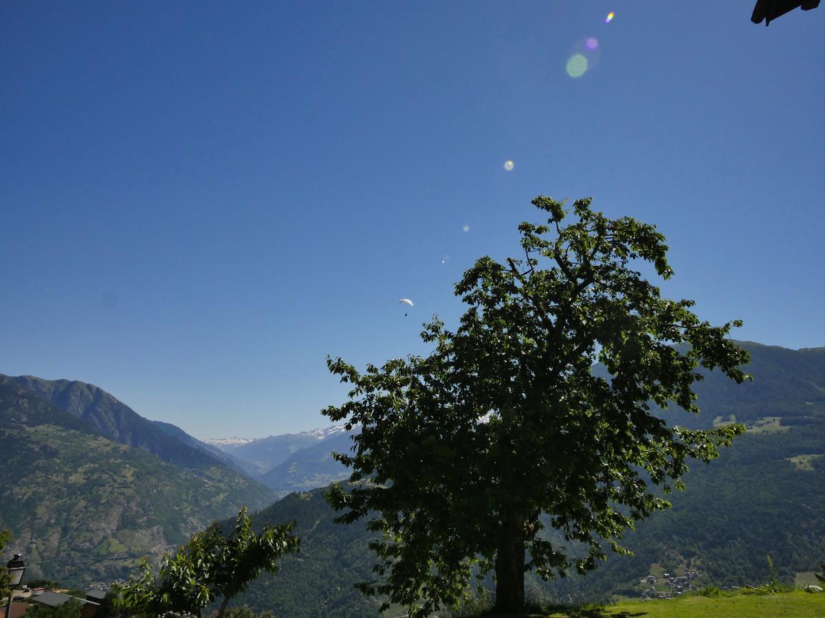 Hotel Alpenblick زينغن المظهر الخارجي الصورة