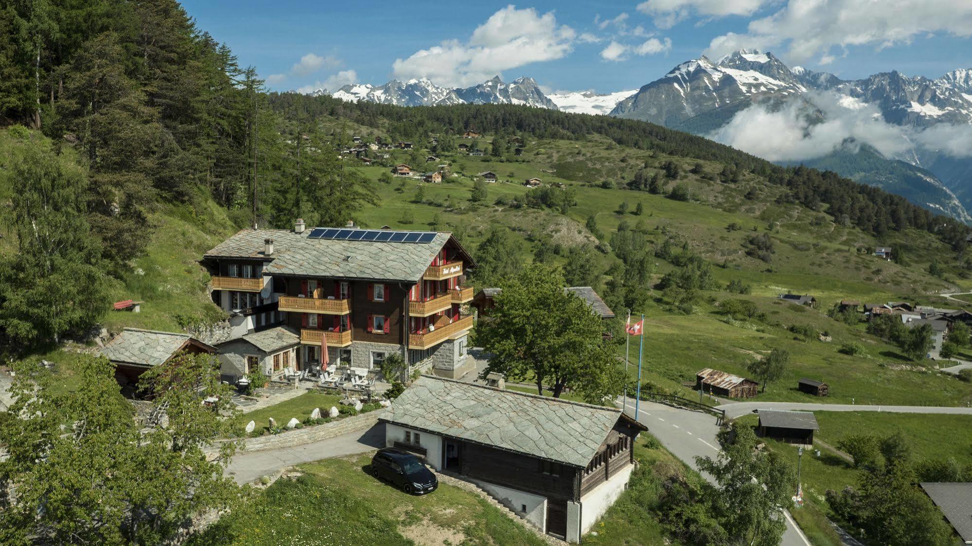 Hotel Alpenblick زينغن المظهر الخارجي الصورة